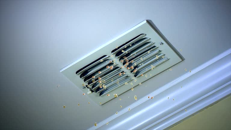 Best Ductwork Cleaning Services  in Pasadena, MD