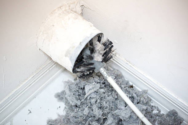Best Affordable Duct Cleaning Services  in Pasadena, MD