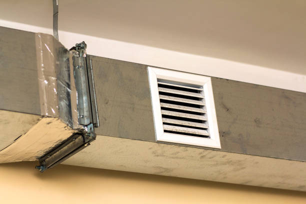 Best HVAC Duct Inspection Services  in Pasadena, MD